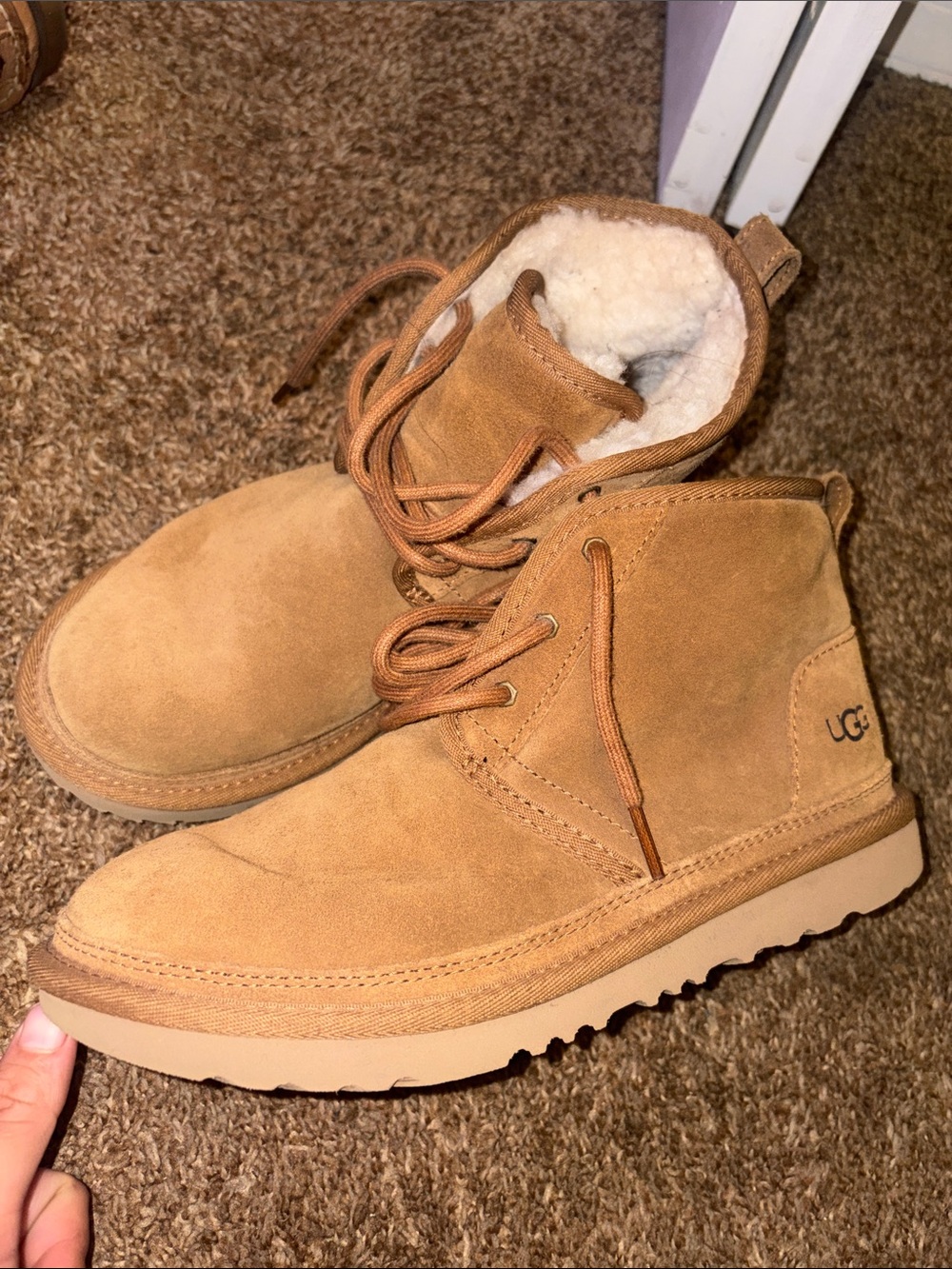 UGG chestnut chukka boot